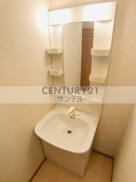 ルミナス恒久南(洗面台・洗面所)