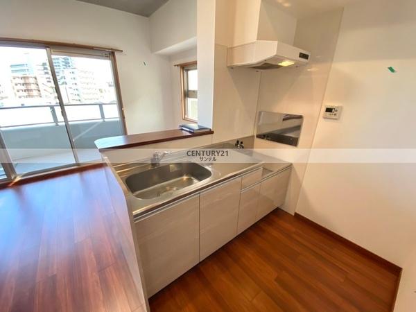 アルテマイスターヴィオラ