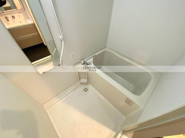 アルテマイスターヴィオラ