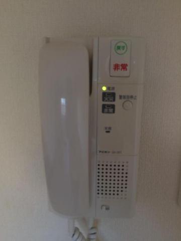 maisonde太陽