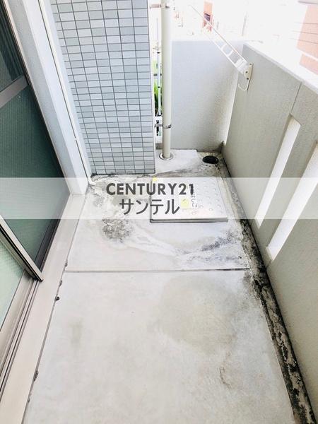 エトワール千草
