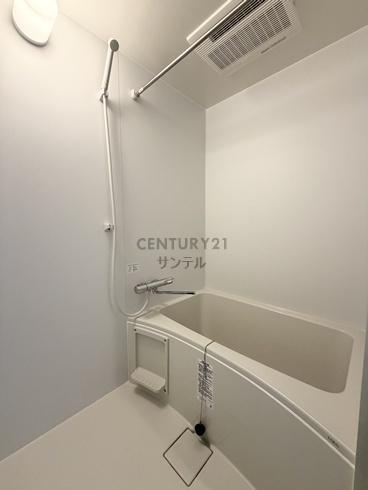 バンベールNorth