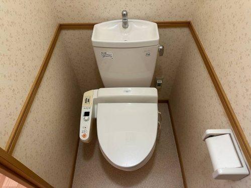 カーサヴェルデ
