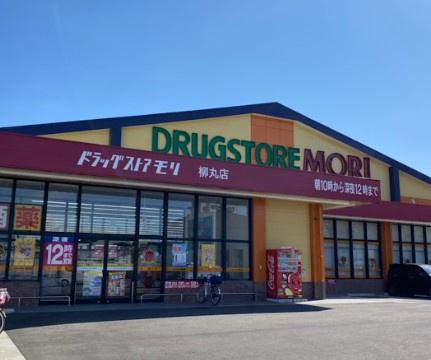 岡田コーポ(ドラッグストアモリ柳丸店)