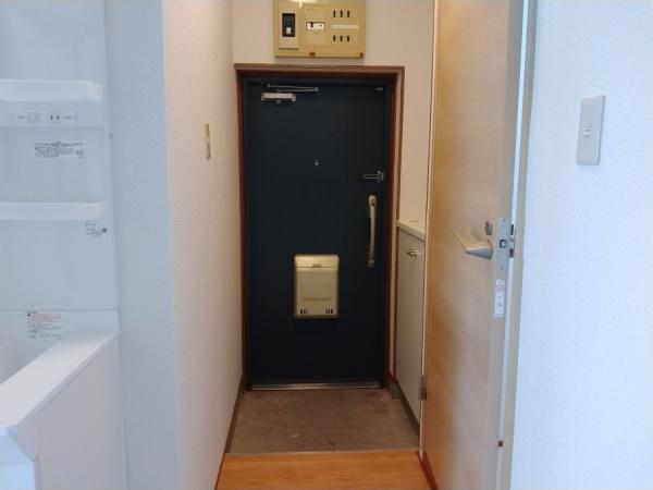 宮崎市吉村町南今村のマンション(玄関)