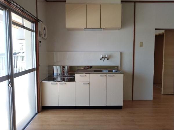 宮崎市吉村町南今村のマンション(キッチン)