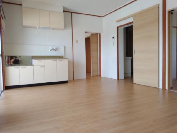 宮崎市吉村町南今村のマンション(リビング)