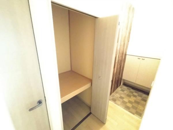 宮崎市東宮1丁目のアパート(収納)