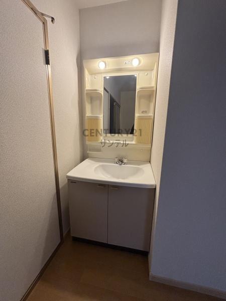 サンライズ大東(洗面台・洗面所)