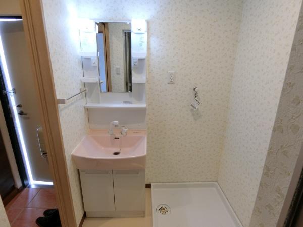 TSグランデ清武(洗面台・洗面所)