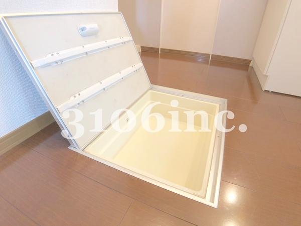 ウィルモア・Ｙ