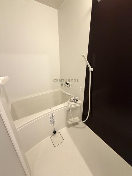 マリベールARASHIC２