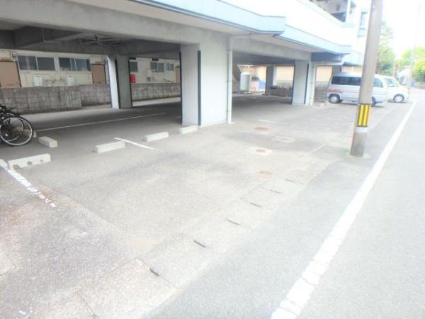 21コスモス恒久