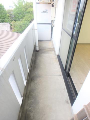 21コスモス恒久