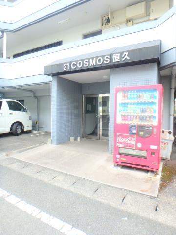 21コスモス恒久