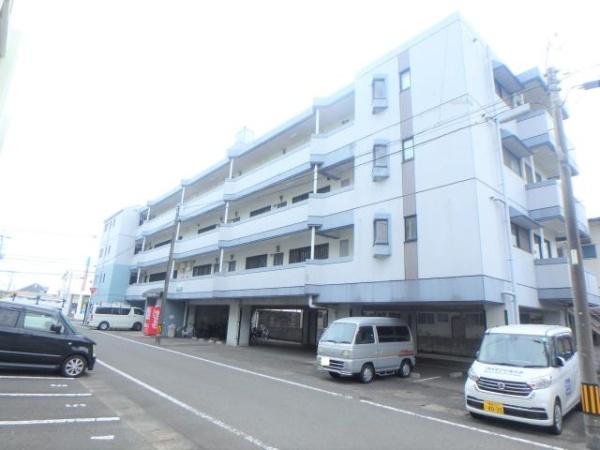 21コスモス恒久