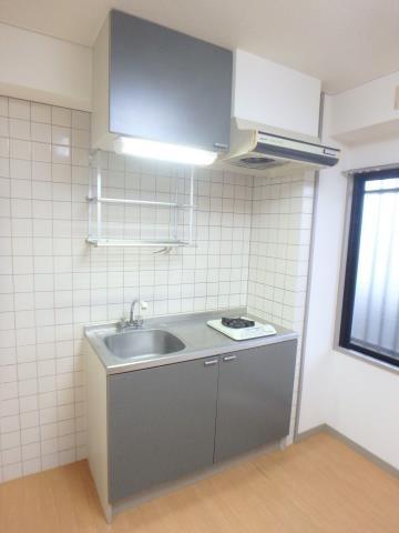 21コスモス恒久