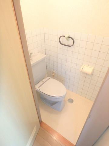 21コスモス恒久