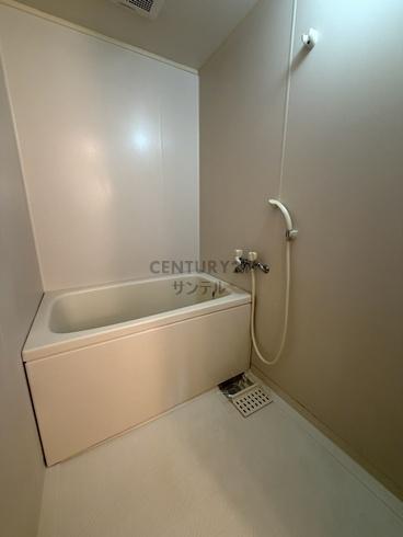 フルーツバスケット