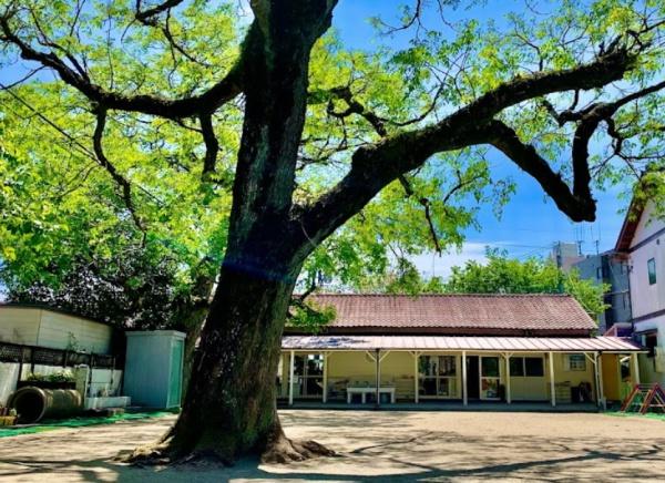 翠ヶ丘六番館(明星幼稚園)