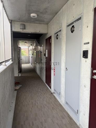 バンベールNorth