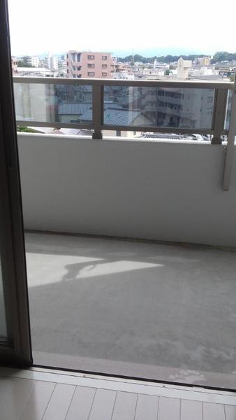 パロス　バーデス　APT