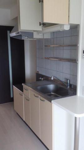 パロス　バーデス　APT