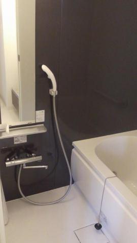 パロス　バーデス　APT