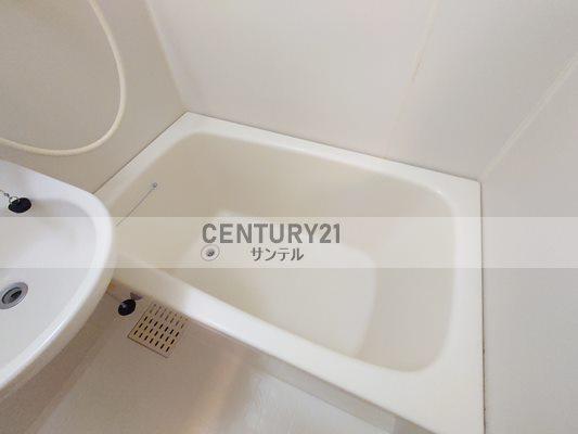 サンデービーチ大工