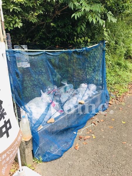 セジュールTOJIKI