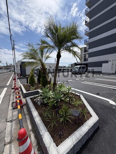 サンライズ　江平中町
