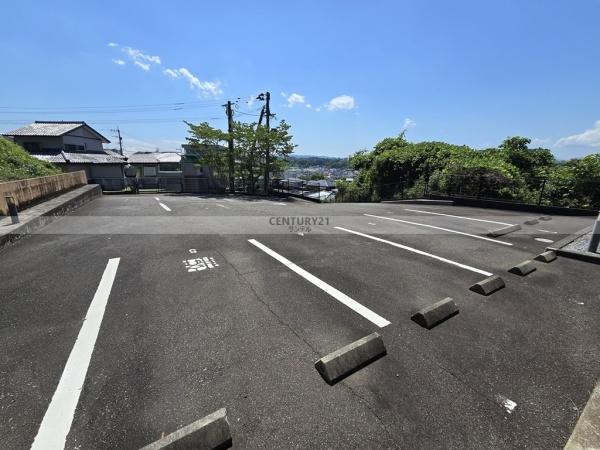 TPCVⅢ