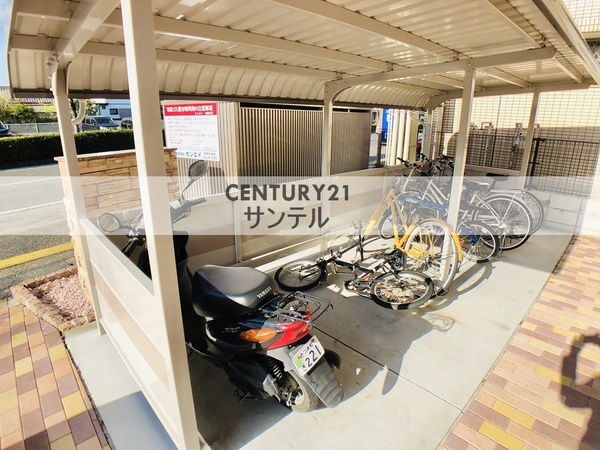 チェルシー神宮外苑