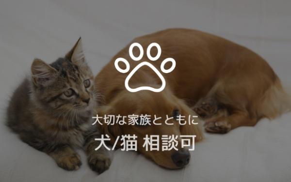 シャーメゾン神宮参道