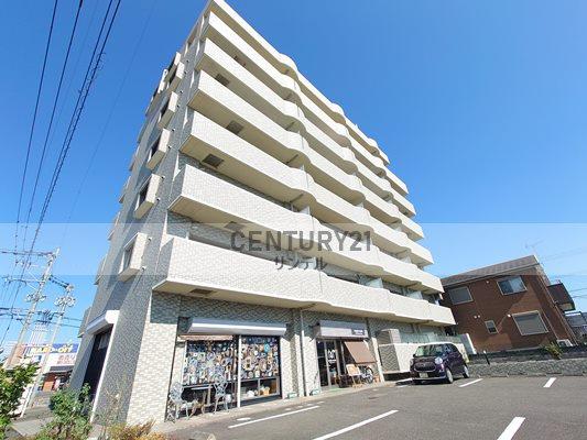 M'sフローリッシュ