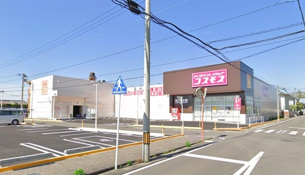 ラ・フルール　麓　弐番館(ディスカウントドラッグコスモス新別府店)