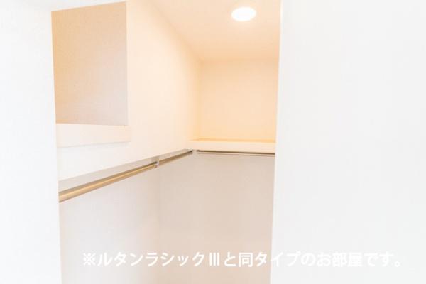 ティグレ