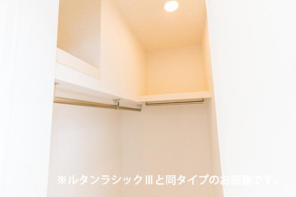 ティグレ