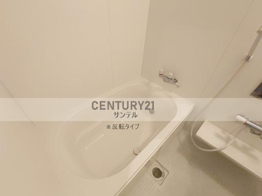 アムールソレオ