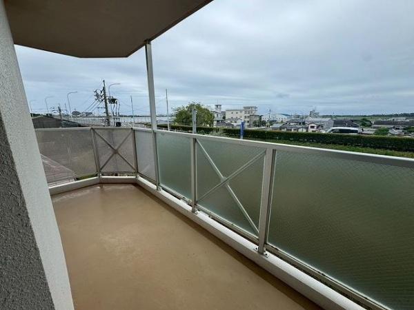 パームコート