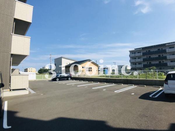 リトルアマポーラ