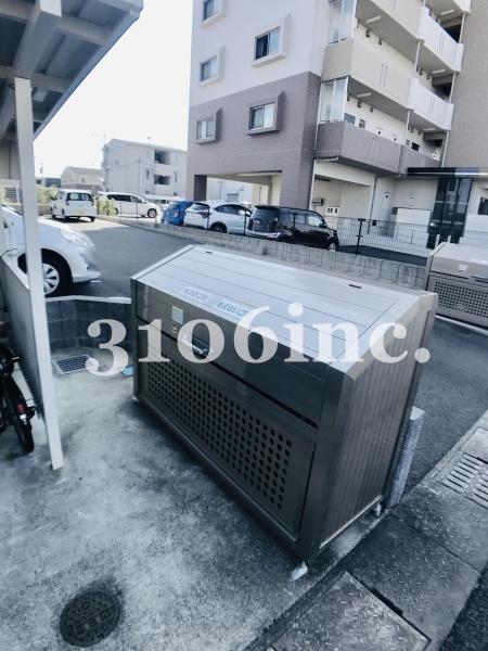 リトルアマポーラ