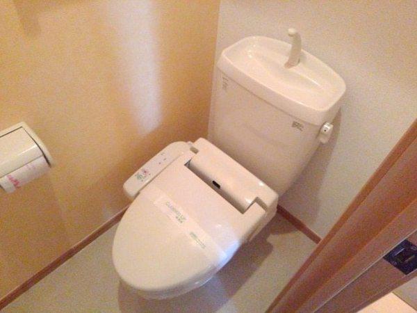 サザンクロス　２