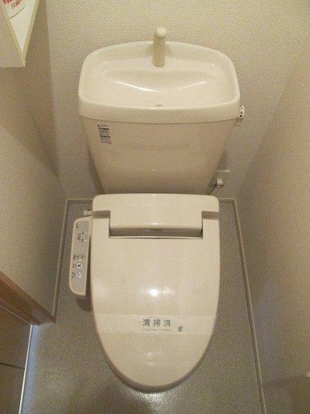 ミニヨン　フィオーレ２