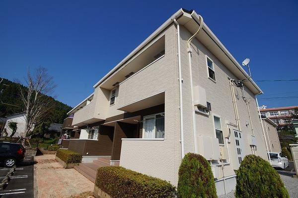 サザンクロス 1