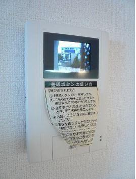 ハナミズキ　１