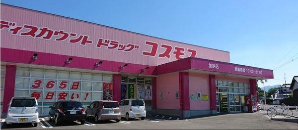 グレイス　ガーデン　Ｃ棟(ディスカウントドラッグコスモス加納店)