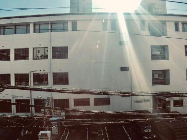 MK-3宮崎駅前通り