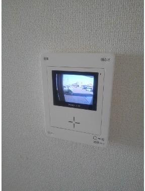 サニーヴィッツ