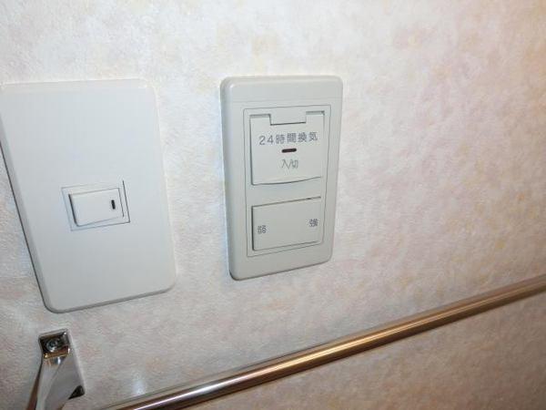 ヴィスコンティ